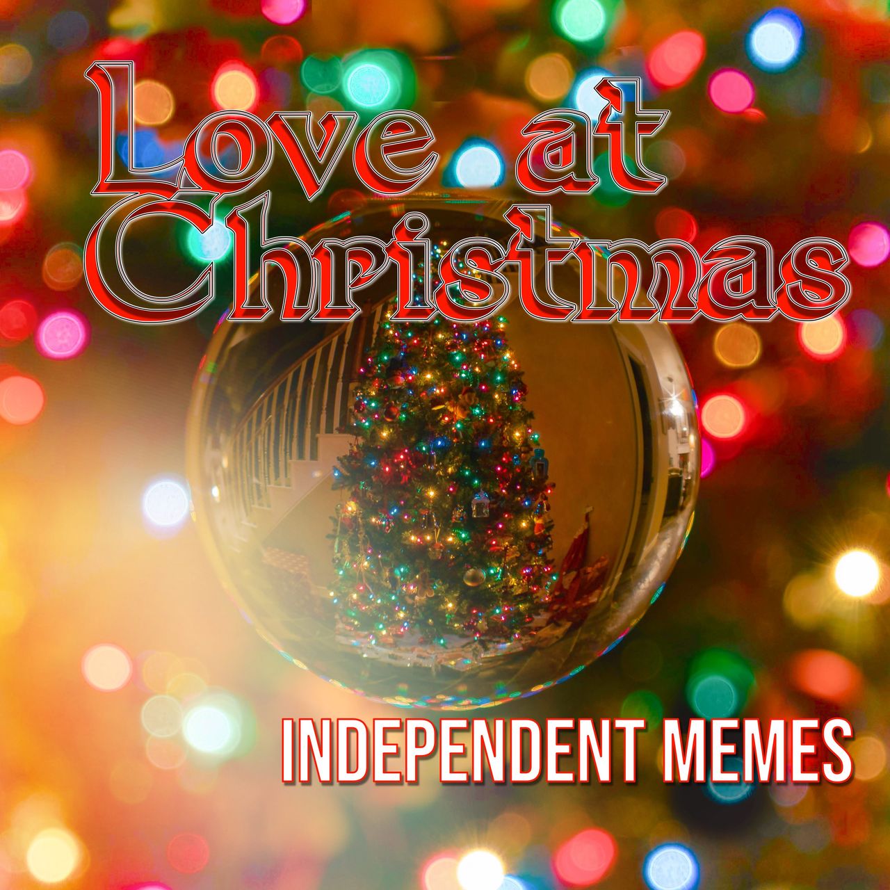 Christmas tree and lights